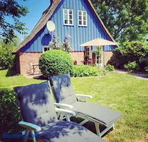Die blaue Reetdachkate am Deich - Image 2