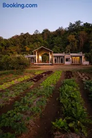 Daraga ดารกะ - Image 2