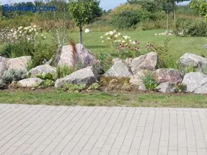 Seepferdchen - Image 2