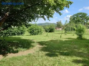 Sparrow Hill Orchard - Image 2