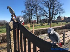 Maison de charme en Berry près d'un golf & spa, jardin d'hiver, vélos, animaux bienvenus - tout inclus - Image 4