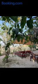 استراحة بستان الشفا - Image 4