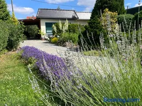 Ferienhaus Amare mit Fasssauna, eigener Terrasse & Kamin - Image 1
