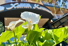Family Hotel Kontesa - Image 2