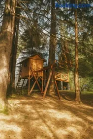 Ski Lake Cottage Krpáčovo - Image 4