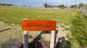 AYRES DE BRANDSEN - Image 4