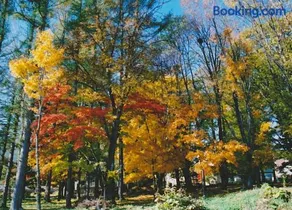 Cottage Morino Nakamatachi - Image 2
