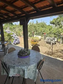 Quinta Real Kiwibee - Image 4