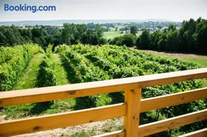 Winnica Nad Źródłem - Domki w winnicy z kominkami i tężniami - Image 4