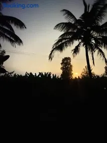 Coorg jungle Cottage - Image 3