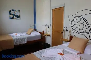 Sunset Hostel - Centro - - Image 3