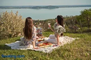 Top Hill Balaton - Image 4