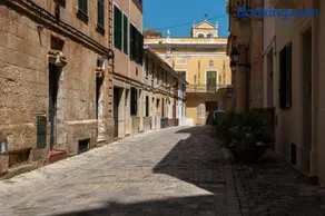 Squella - Image 1