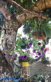 Chacaramoriá - Image 3