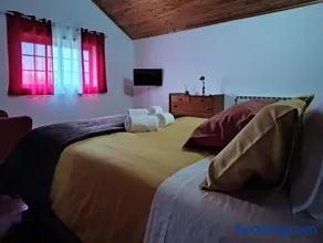 Casa das Camélias - Image 2