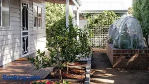 Pear Tree Cottage - Image 2