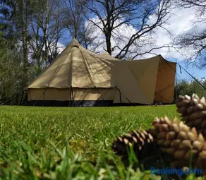 Tent-Ok Westerbeek - Image 5