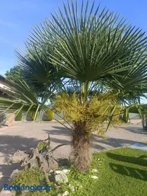 Villa Cristallo - Image 1