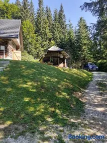 Brunarica na Goreljeku, Pokljuka - Image 1