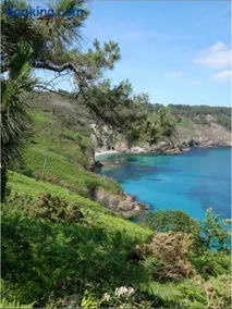 Maison avec piscine chauffée toute l'année à Morgat en bretagne sur la presqu'île de Crozon située à 800 m de la mer - Image 4