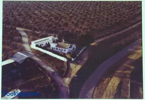 La Casa del Abuelo Jose - Image 3