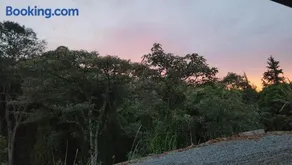 Ventana al bosque - Image 3
