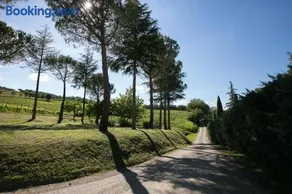 Tenuta San Filippo - Image 4