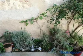 Maison charmante et paisible - Image 3