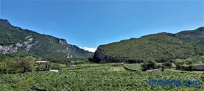 La Masera Holiday - Vigneto - Image 1