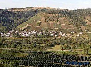 Gästehaus-Weingut Michael Scholer - Image 2