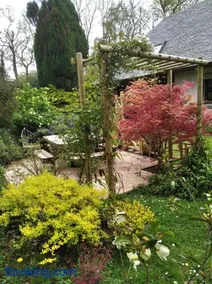 Maison dans un environnement boisé très calme - Image 3