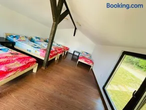 Forest Glamping - Image 3