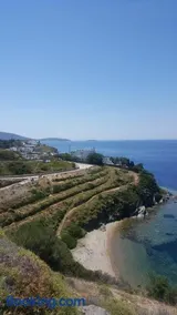 Linaria Bay - Image 3