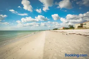 Seashell 19 - Image 1