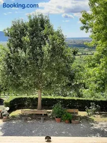 Il Castagneto - Image 1