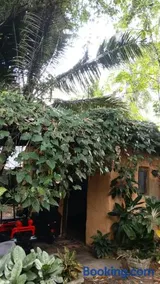 Tranquillo - Image 1