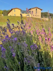 Agriturismo Al Mancino - Image 4