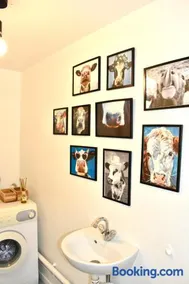 Duplex lumineux haut Jura - Image 3