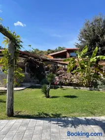 Tenuta calidarius - Image 1