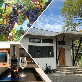 Modern Wine Country Home on 10 acres with vineyard - Image 1