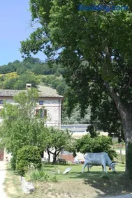 agriturismo montefiorentino - Image 4