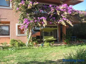 Apartman Lavanda - Image 3
