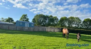 Wee Shepherds Hut Maybole - Image 3