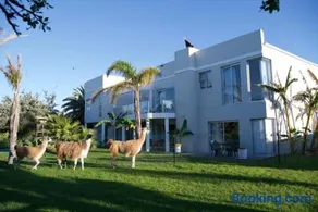 Lamabeach city farm - Image 1