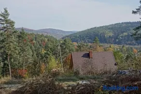 Bukowinka - Image 1