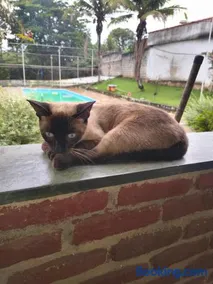 Brisa do Paraopeba - Image 4