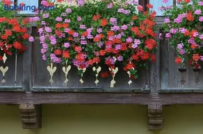 Müllnerbauer - Image 4