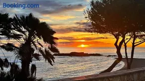 Oliveres3 - Image 3
