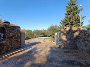 Azure & Olive Estate - Image 4