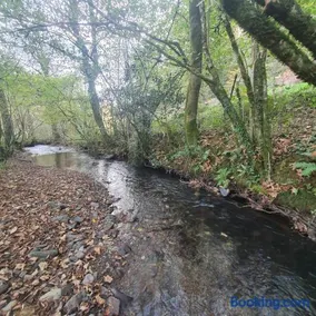Riverside Cottage in Devon - Image 3